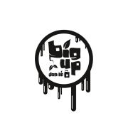 BIG UP DAN LE O 2014 - Logo 1 couleur