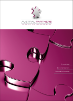 AUSTRAL PARTNERS - Management