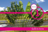 ALTERNEO - Dossier Appel d‘Offre